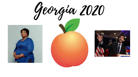 Georgia Politics 2020 Election